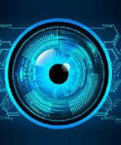 The Blue Eye Technologies